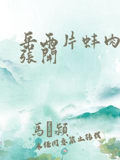 岳两片蚌肉缓缓张开