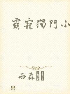 霸宠独门小娇妻