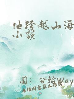 他跨越山海而来小说