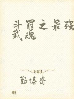 斗罗之最强治疗武魂