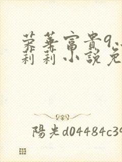 荣华富贵9小王莉莉小说免费阅读