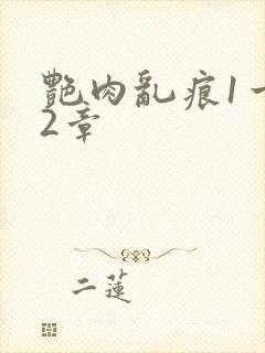 艳肉乱痕1一12章