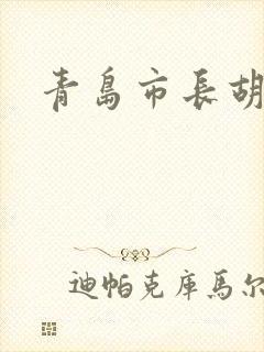 青岛市长胡学峰