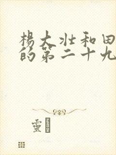 杨大壮和田桂花的第二十九