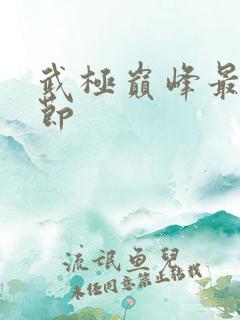 武极巅峰最新章节