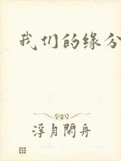 我们的缘分小说