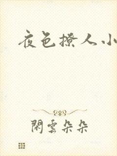 夜色撩人小说