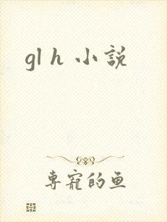 gl h 小说