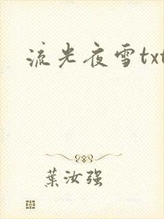 流光夜雪txt