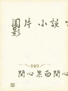 图片 小说 电影