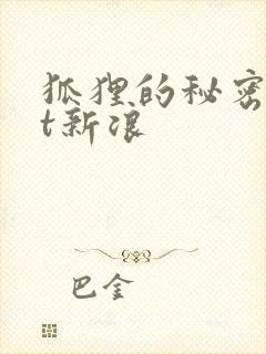 狐狸的秘密txt新浪