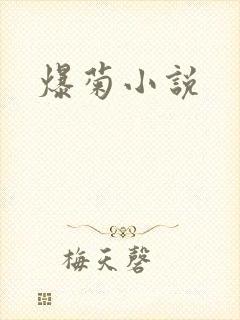 爆菊小说