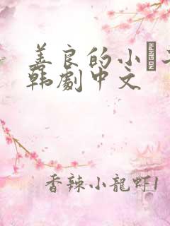 善良的小峓子2韩剧中文