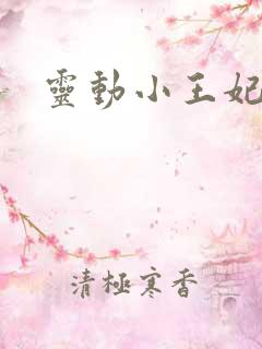 灵动小王妃
