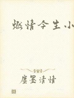 燃情今生小说