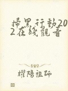 扫黑行动2022在线观看