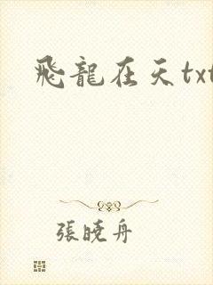 飞龙在天txt