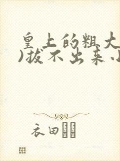 皇上的粗大(h)拔不出来小说