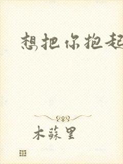 想把你抱起来撞