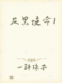 反黑使命1