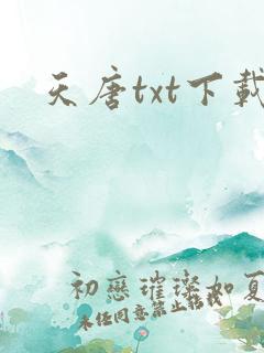 天唐txt下载