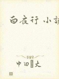 白夜行 小说