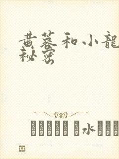 黄蓉和小龙女的秘密