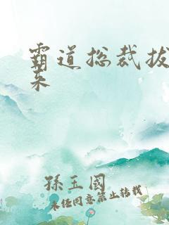 霸道总裁拔不出来