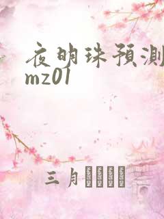 夜明珠预测 ymz01