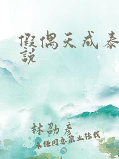 假偶天成泰国小说