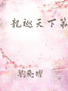 龙巡天下第四部