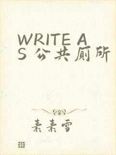 WRITE AS 公共厕所