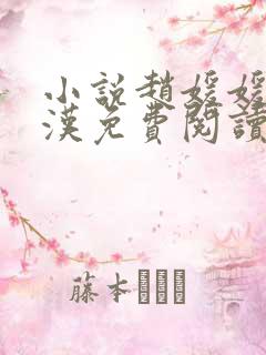 小说赵媛媛王老汉免费阅读