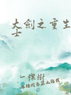 大剑之重生圣骑士