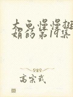 大龟慢慢挺进张娟的第19集