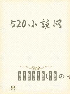 520小说网