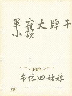 军宠大牌千金 小说