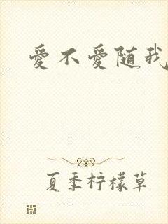 爱不爱随我