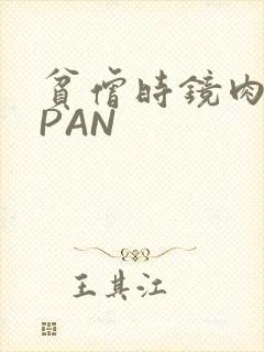 贫僧时镜肉补全PAN