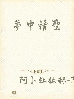 梦中情圣