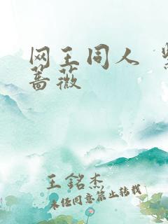 网王同人 紫蔷薇