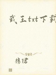 武王txt下载