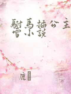驸马插公主恋战雪小说