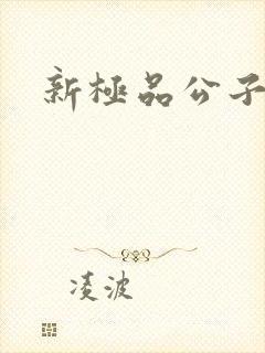 新极品公子