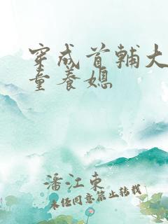 穿成首辅大人的童养媳