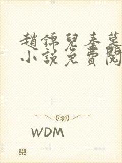 赵锦儿秦慕修的小说免费阅读全文