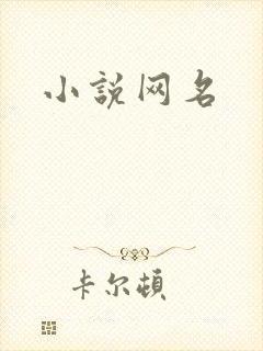 小说网名