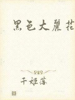 黑色大丽花图片