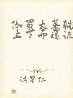 伽罗太华躺在床上下面还流东西