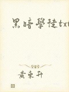 黑暗学徒txt